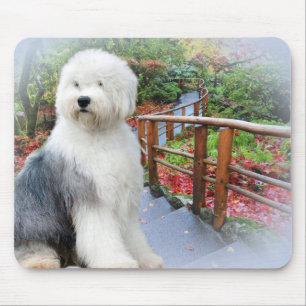 Old English Sheepdog Spring Day Mouse Mat