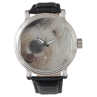 Old English Sheepdog Watch - Snow Face