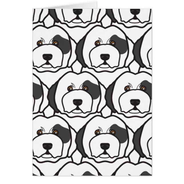 Old English Sheepdogs (Front)