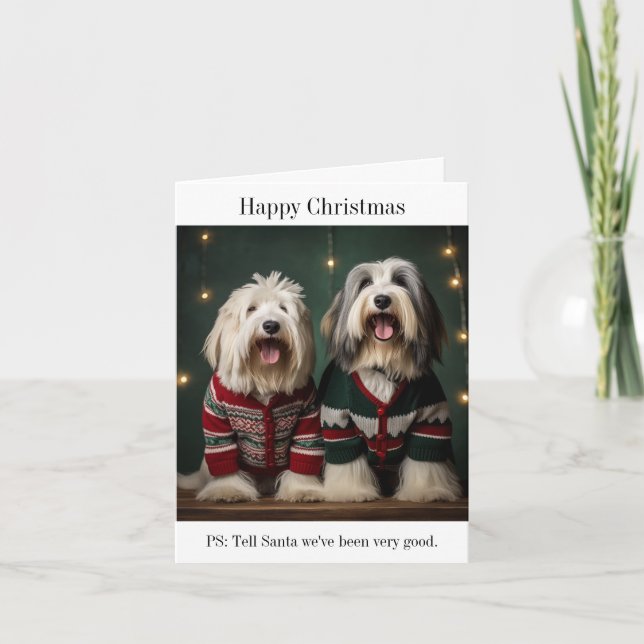 Old English Sheepdogs Christmas Card (Front)