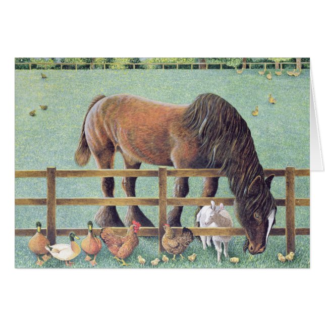 Old Faithful (Front Horizontal)