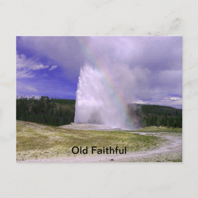 Old Faithful in Yellowstone National Park Postcard (Front)