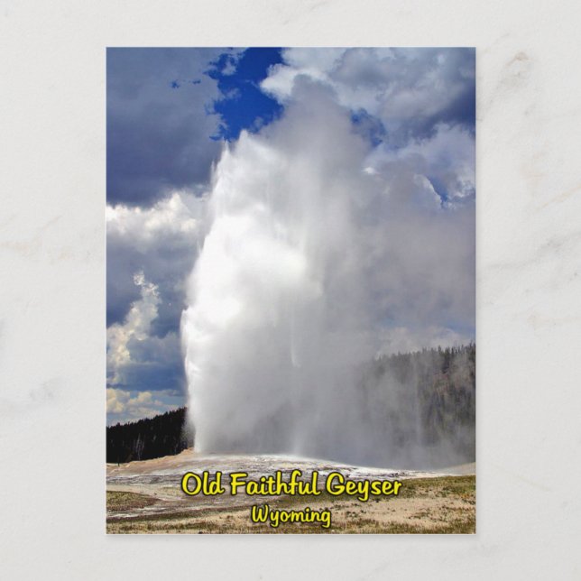 Old Faithful Postcard (Front)