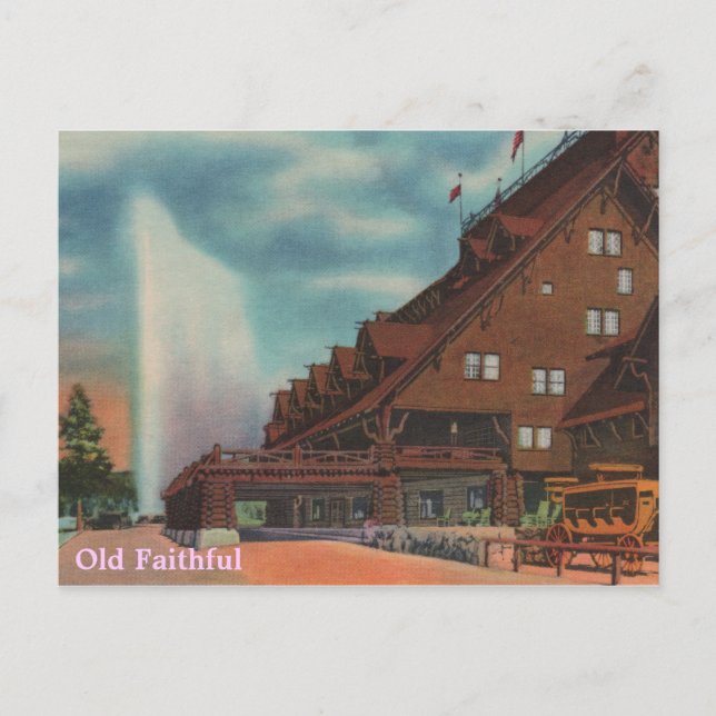 Old Faithful Postcard (Front)