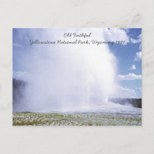 Old Faithful Yellowstone National Park Postcard