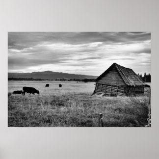 Old Farm House Poster