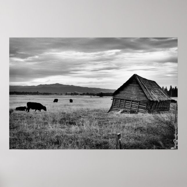 Old Farm House Poster (Front)