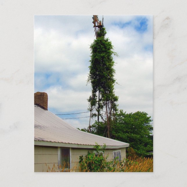 Old Farmstead Postcard (Front)