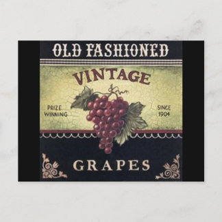 Old Fashion Vintage Grapes, Purple and Black Wine Postcard