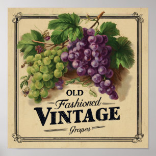 Old Fashion Vintage Grapes, Purple and Black Wine Poster