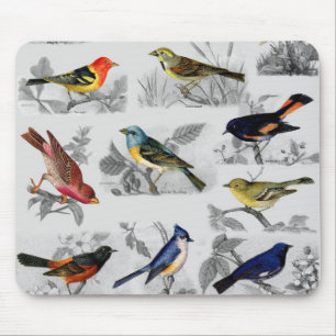 Old Fashioned Birds Mouse Mat