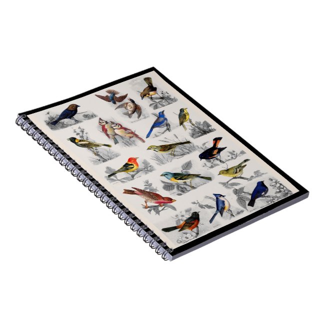 Old Fashioned Birds Notebook (Right Side)