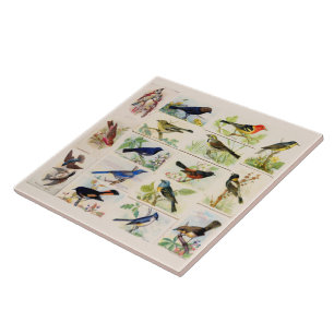 Old Fashioned Birds Tile