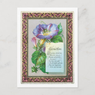 Old-fashioned Christmas, Morning glory Holiday Postcard