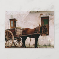 Old-fashioned horse-drawn cart