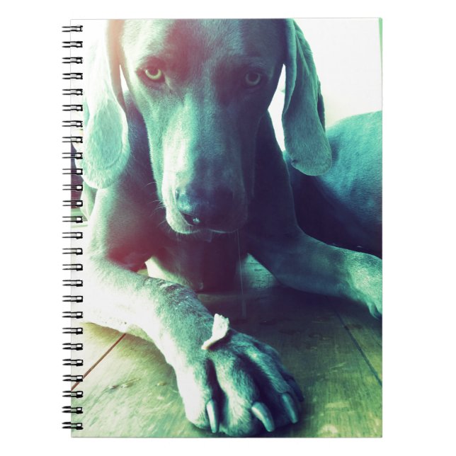 Old fashioned Weimaraner photo Notebook (Front)