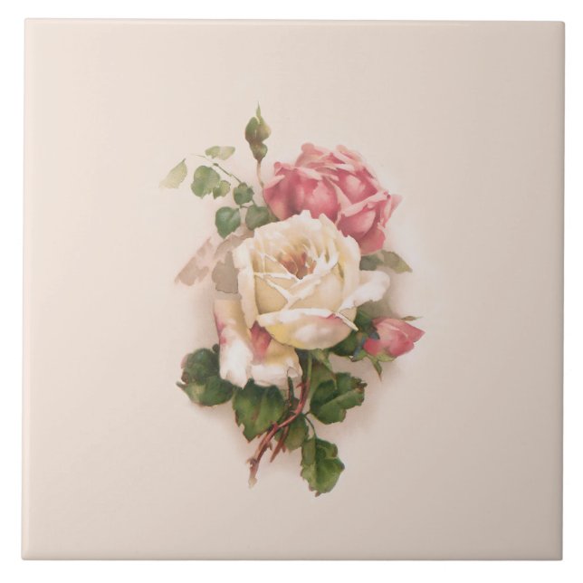 Old Fashioned White/Pink Roses-Buff Background Tile (Front)