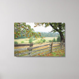 Old Fence On A Farm Canvas Print