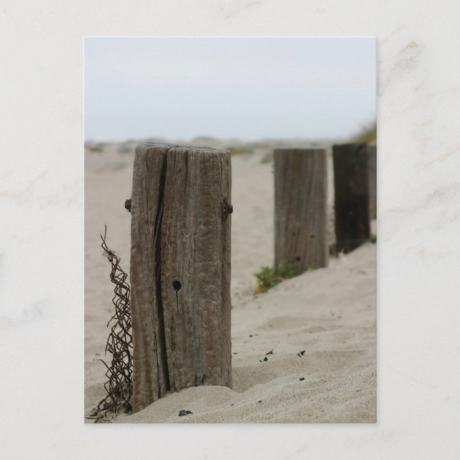 Old Fence Poles Postcard (Front)