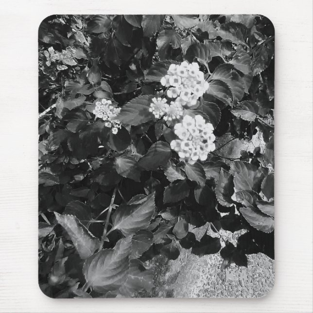 Old floral theme mouse mat (Front)