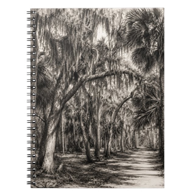 Old Florida Oak Hammock Graphite Sketch | Rockledg Notebook (Front)