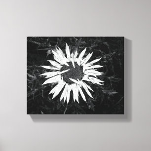 Old Flower Canvas Print