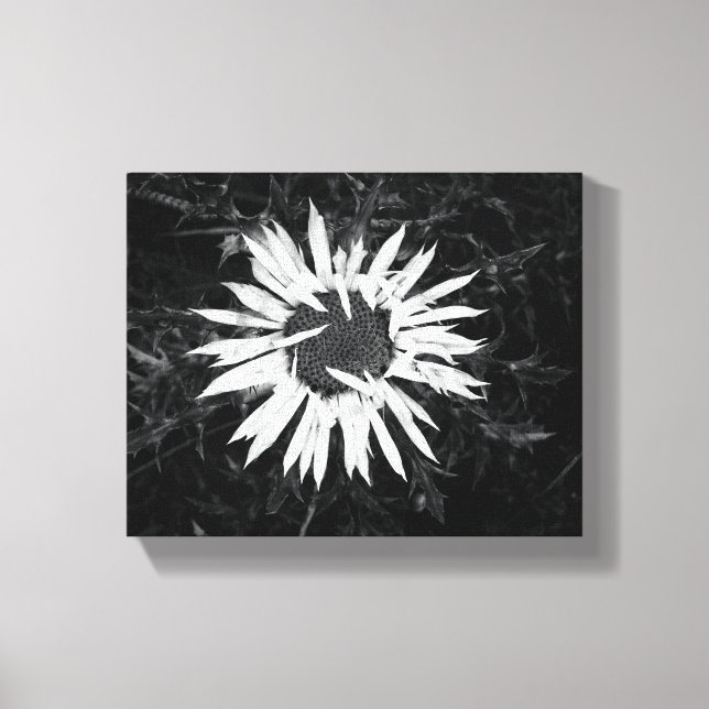 Old Flower Canvas Print (Front)