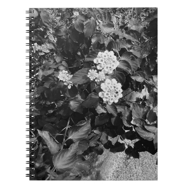 Old Flowers spiral Notebook (Front)