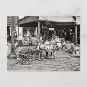 Old French Quarter Market Postcard
