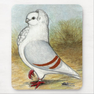 Old German Owl Pigeon Standing Tall Mouse Mat