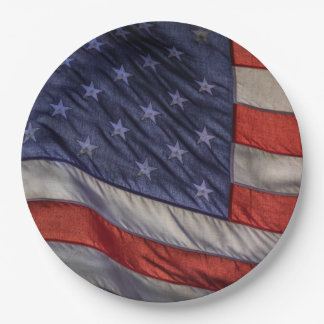 Old Glory Paper Plate
