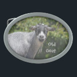 Old Goat Belt Buckle<br><div class="desc">This "old goat" belt buckle would be a fun gift to give at a birthday party.</div>