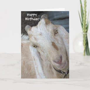 Old Goat Birthday Card - Easily Personalise Text