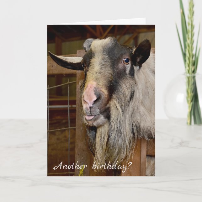 Old Goat Birthday Humour Card (Front)