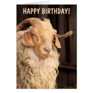 Old Goat Funny Birthday