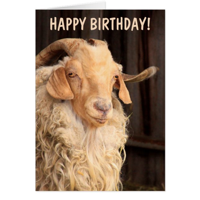 Old Goat Funny Birthday (Front)