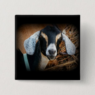Old Goat Nubian Portrait Photo 15 Cm Square Badge