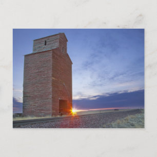 Old granary at Collins Montana at sunrise Postcard