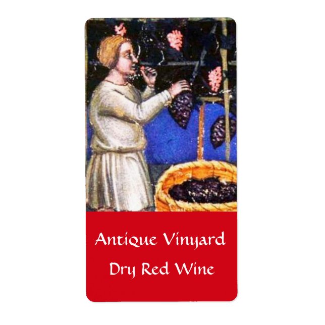 OLD GRAPE VINEYARD HARVEST (Front)