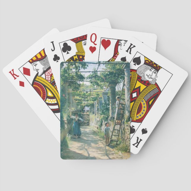 OLD GRAPE VINEYARD HARVEST Rustic Countryside Playing Cards (Back)