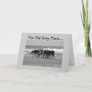 OLD GREY MARE JUST AIN'T SO YOUNG-GROUP CARD