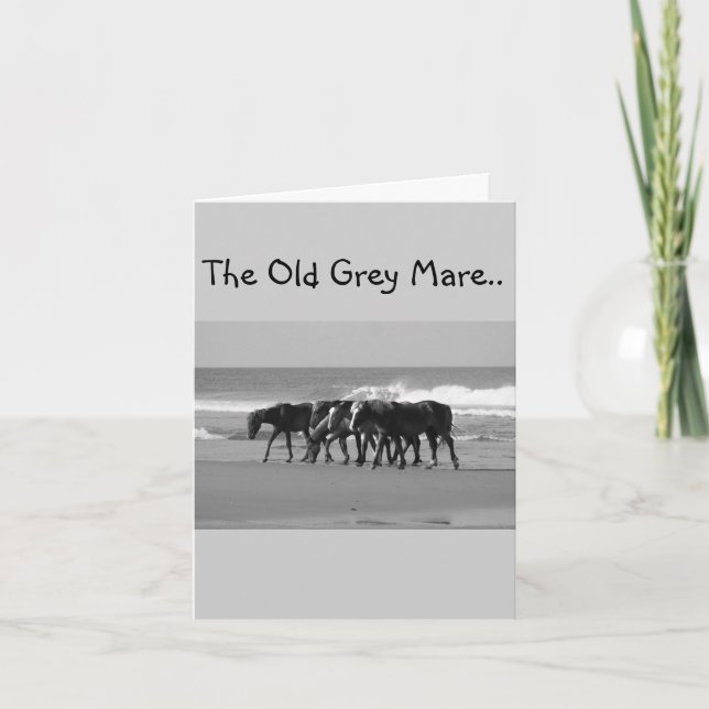 OLD GREY MARE JUST AIN'T SO YOUNG-GROUP CARD (Front)