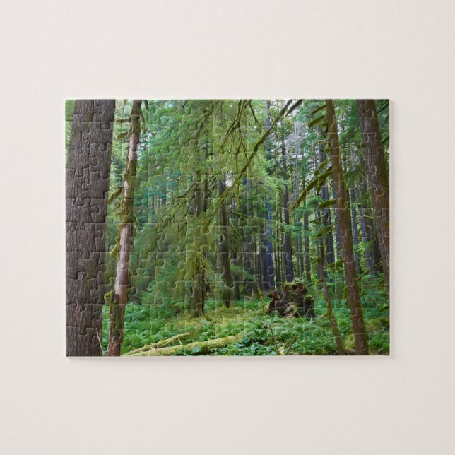 Old Growth Forest Jigsaw Puzzle (Horizontal)