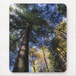 Old Growth Forest Mouse Mat