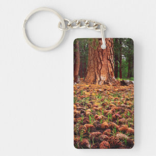 Old-growth Ponderosa tree with pine cones Key Ring