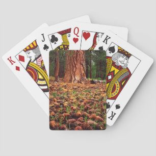 Old-growth Ponderosa tree with pine cones Playing Cards