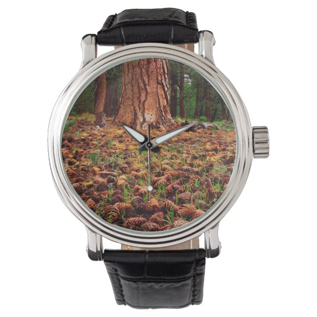 Old-growth Ponderosa tree with pine cones Watch (Front)