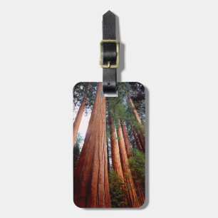 Old-growth Sequoia Redwood trees Luggage Tag