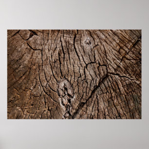 Old grunge dark textured wooden background, The su Poster