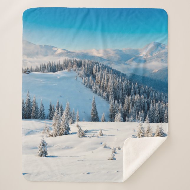 Old grunge wooden texture or background with termi sherpa blanket (Front)